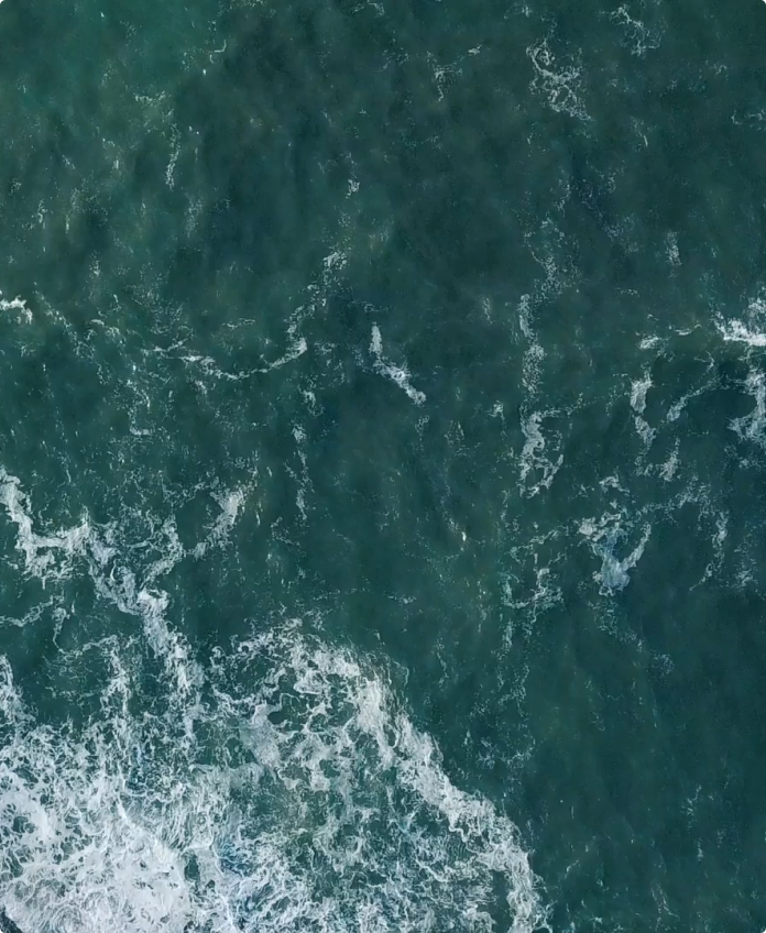 Ocean